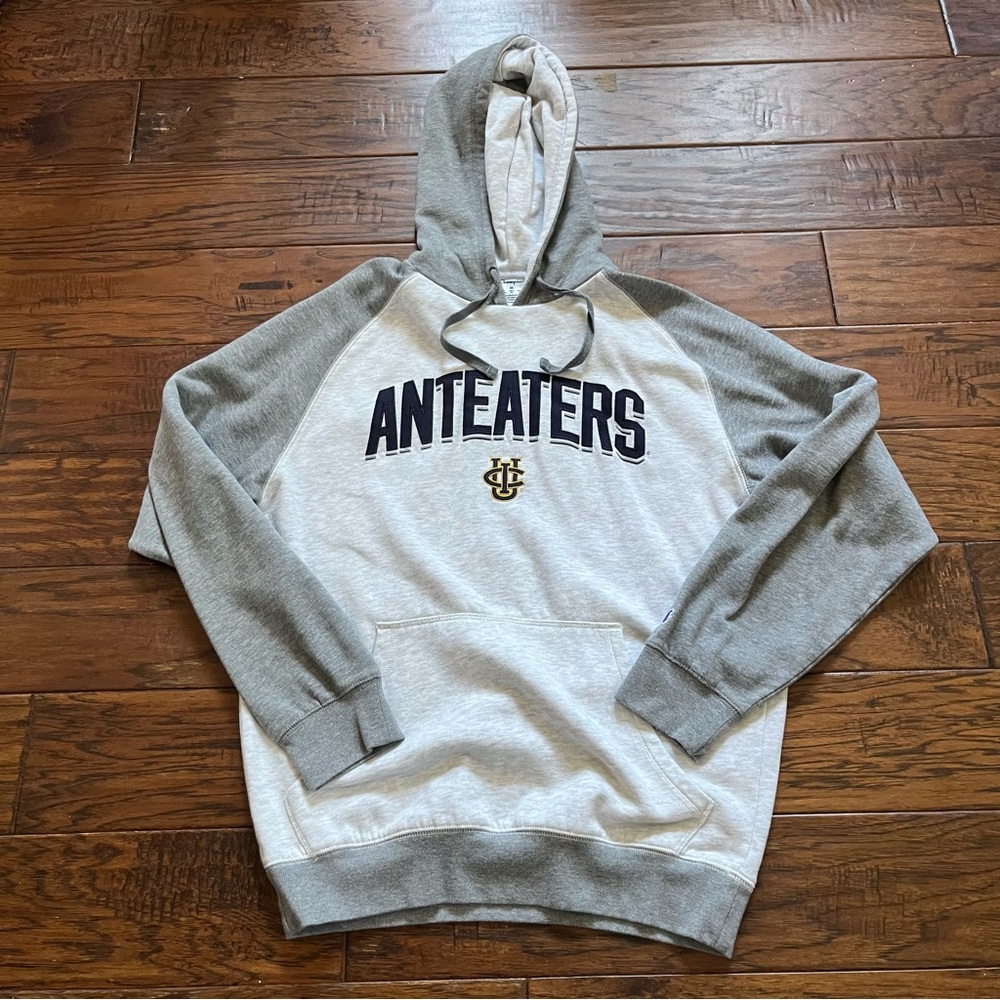 Champion Gray Anteaters Hoodie